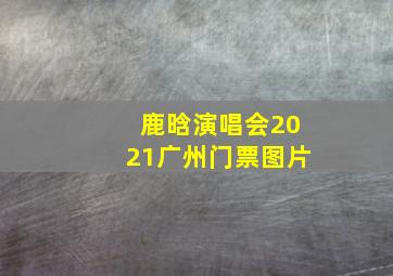 鹿晗演唱会2021广州门票图片