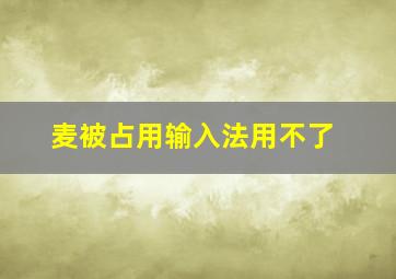 麦被占用输入法用不了