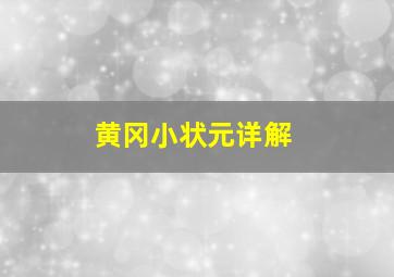 黄冈小状元详解