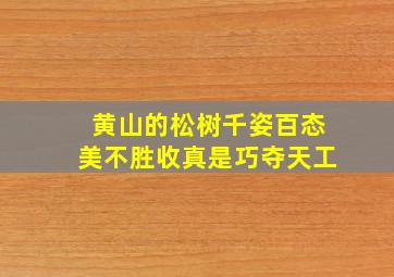 黄山的松树千姿百态美不胜收真是巧夺天工