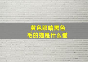 黄色眼睛黑色毛的猫是什么猫