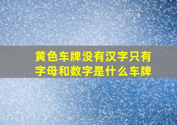 黄色车牌没有汉字只有字母和数字是什么车牌