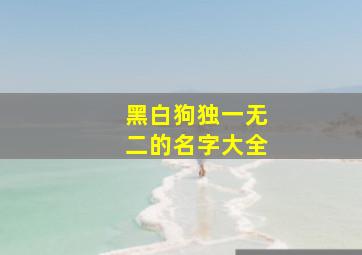 黑白狗独一无二的名字大全