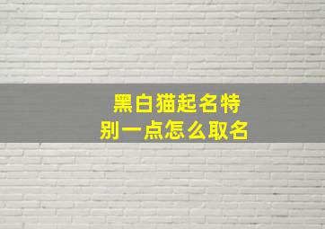 黑白猫起名特别一点怎么取名