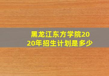 黑龙江东方学院2020年招生计划是多少