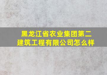 黑龙江省农业集团第二建筑工程有限公司怎么样