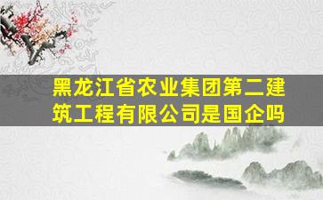 黑龙江省农业集团第二建筑工程有限公司是国企吗