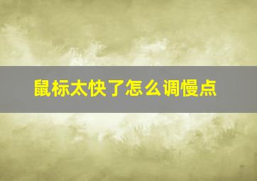 鼠标太快了怎么调慢点