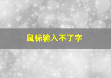 鼠标输入不了字