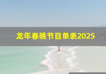 龙年春晚节目单表2025