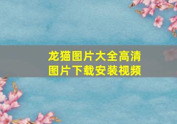 龙猫图片大全高清图片下载安装视频