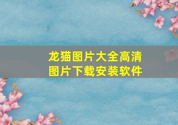 龙猫图片大全高清图片下载安装软件