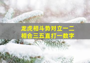 龙虎相斗势对立一二相合三五直打一数字