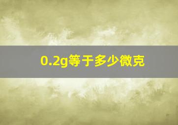 0.2g等于多少微克