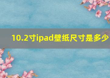 10.2寸ipad壁纸尺寸是多少