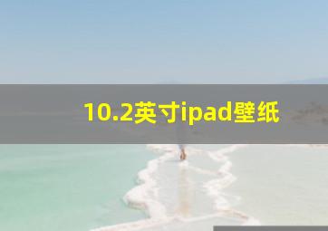 10.2英寸ipad壁纸