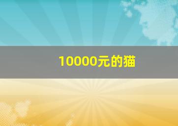 10000元的猫