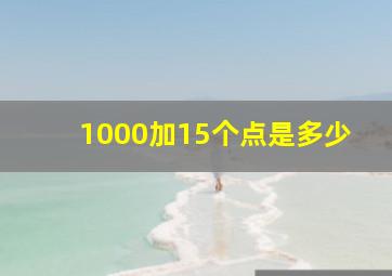 1000加15个点是多少