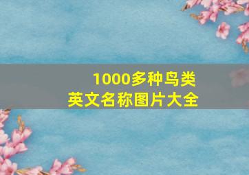 1000多种鸟类英文名称图片大全