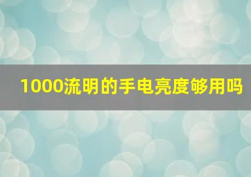 1000流明的手电亮度够用吗