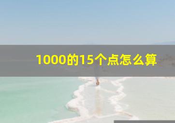 1000的15个点怎么算