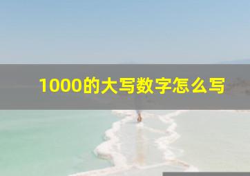 1000的大写数字怎么写