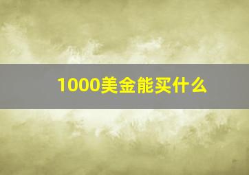 1000美金能买什么