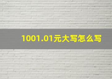 1001.01元大写怎么写