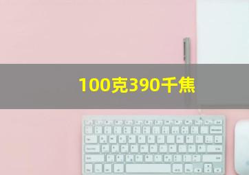 100克390千焦