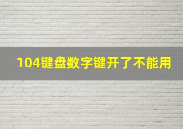 104键盘数字键开了不能用