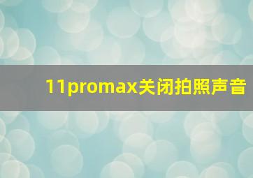 11promax关闭拍照声音