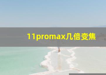 11promax几倍变焦