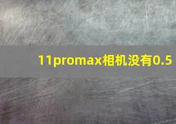 11promax相机没有0.5