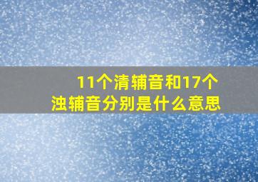 11个清辅音和17个浊辅音分别是什么意思