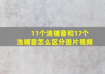 11个清辅音和17个浊辅音怎么区分图片视频