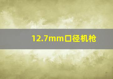 12.7mm口径机枪