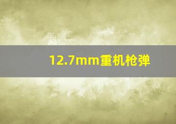 12.7mm重机枪弹