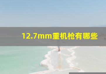 12.7mm重机枪有哪些