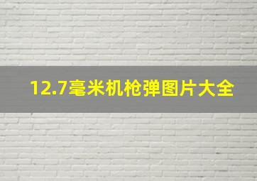 12.7毫米机枪弹图片大全