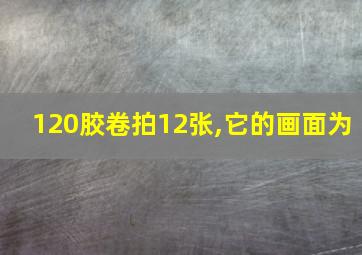 120胶卷拍12张,它的画面为