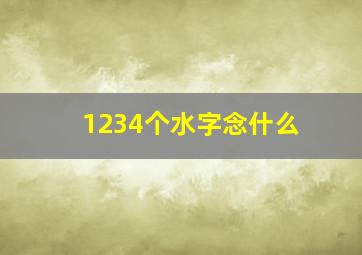 1234个水字念什么