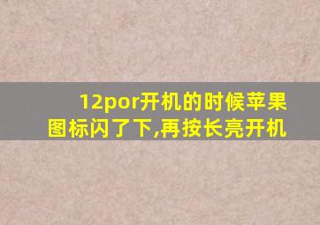 12por开机的时候苹果图标闪了下,再按长亮开机