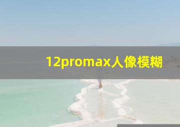 12promax人像模糊