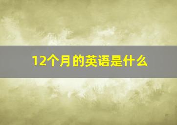 12个月的英语是什么