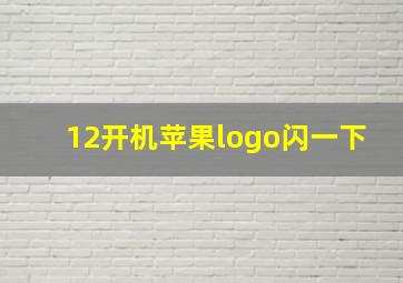 12开机苹果logo闪一下