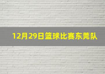 12月29日篮球比赛东莞队