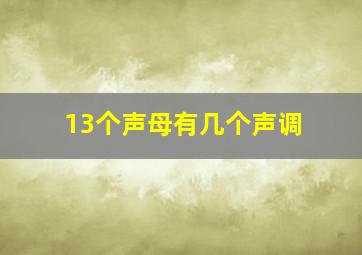 13个声母有几个声调