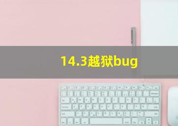 14.3越狱bug