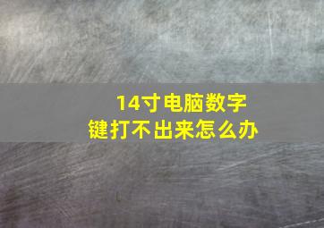 14寸电脑数字键打不出来怎么办