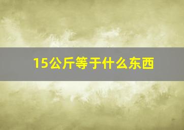 15公斤等于什么东西